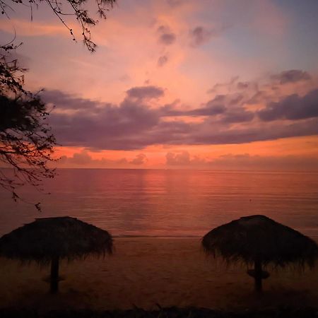 Trinco Beach By Dsk Trincomalee Dış mekan fotoğraf